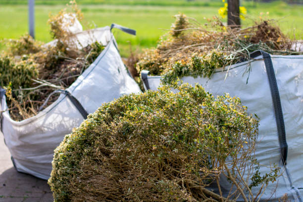 Best Mattress Disposal  in Cut Off, LA